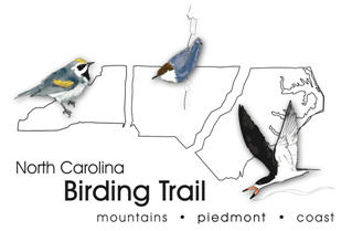 North Carolina Birding Trail Logo. Courtesy of ncbirdingtrail.org.