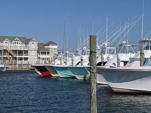 An assortment of yachts tied up in a harbor. It is a sunny day and there are some condominiums in the background.