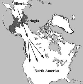 <img typeof="foaf:Image" src="http://statelibrarync.org/learnnc/sites/default/files/images/Beringia.jpg" width="283" height="284" alt="Beringia" title="Beringia" />