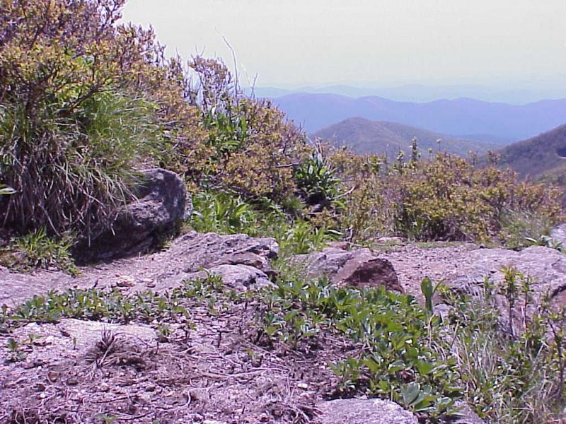 <img typeof="foaf:Image" src="http://statelibrarync.org/learnnc/sites/default/files/images/balds.jpg" width="1024" height="768" alt="The Balds: origins, exposure, and succession" title="The Balds: origins, exposure, and succession" /> <img typeof="foaf:Image" src="http://statelibrarync.org/learnnc/sites/default/files/images/balds.jpg" width="1024" height="768" alt="The Balds: origins, exposure, and succession" title="The Balds: origins, exposure, and succession" />