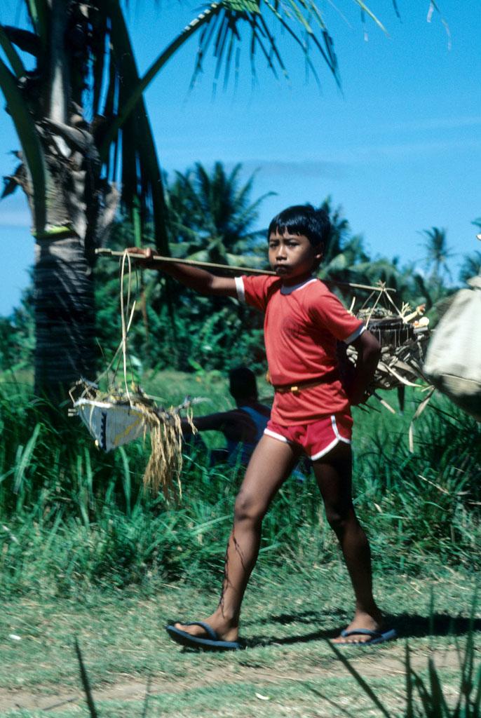 <img typeof="foaf:Image" src="http://statelibrarync.org/learnnc/sites/default/files/images/bali_084.jpg" width="686" height="1024" alt="Balinese boy" title="Balinese boy" /> <img typeof="foaf:Image" src="http://statelibrarync.org/learnnc/sites/default/files/images/bali_084.jpg" width="686" height="1024" alt="Balinese boy" title="Balinese boy" />