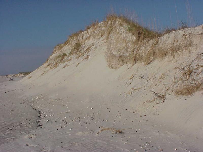 <img typeof="foaf:Image" src="http://statelibrarync.org/learnnc/sites/default/files/images/beachfront_dune.jpg" width="1024" height="768" alt="Beachfront dune" title="Beachfront dune" />