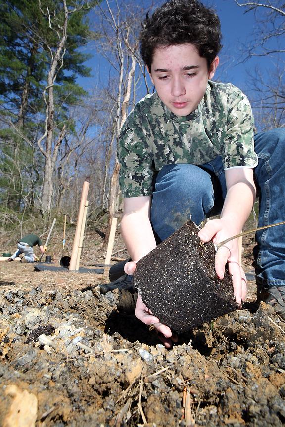 <img typeof="foaf:Image" src="http://statelibrarync.org/learnnc/sites/default/files/images/boyscout-planting-chestnut-tree.jpg" width="576" height="864" alt="American chestnut plant and a boyscout" title="American chestnut plant and a boyscout" /> <img typeof="foaf:Image" src="http://statelibrarync.org/learnnc/sites/default/files/images/boyscout-planting-chestnut-tree.jpg" width="576" height="864" alt="American chestnut plant and a boyscout" title="American chestnut plant and a boyscout" />