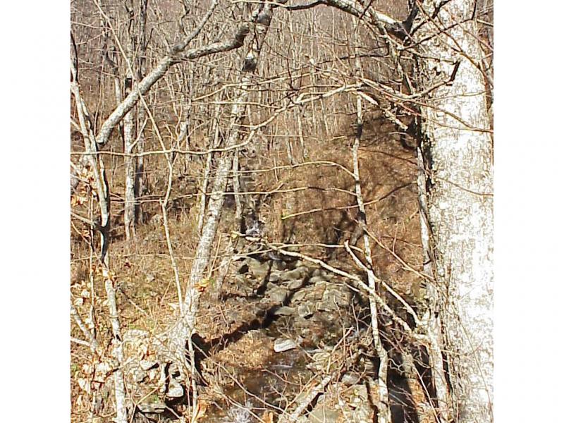 <img typeof="foaf:Image" src="http://statelibrarync.org/learnnc/sites/default/files/images/creek2_roan_highlands_1.jpg" width="1024" height="768" alt="High elevation in small headwater drainage creek-Roan Highlands" title="High elevation in small headwater drainage creek-Roan Highlands" /> <img typeof="foaf:Image" src="http://statelibrarync.org/learnnc/sites/default/files/images/creek2_roan_highlands_1.jpg" width="1024" height="768" alt="High elevation in small headwater drainage creek-Roan Highlands" title="High elevation in small headwater drainage creek-Roan Highlands" />