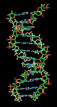 DNA Section