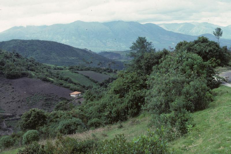 <img typeof="foaf:Image" src="http://statelibrarync.org/learnnc/sites/default/files/images/ecuador_018.jpg" width="1024" height="682" alt="Colonial house in Ecuador moutain valley" title="Colonial house in Ecuador moutain valley" /> <img typeof="foaf:Image" src="http://statelibrarync.org/learnnc/sites/default/files/images/ecuador_018.jpg" width="1024" height="682" alt="Colonial house in Ecuador moutain valley" title="Colonial house in Ecuador moutain valley" />