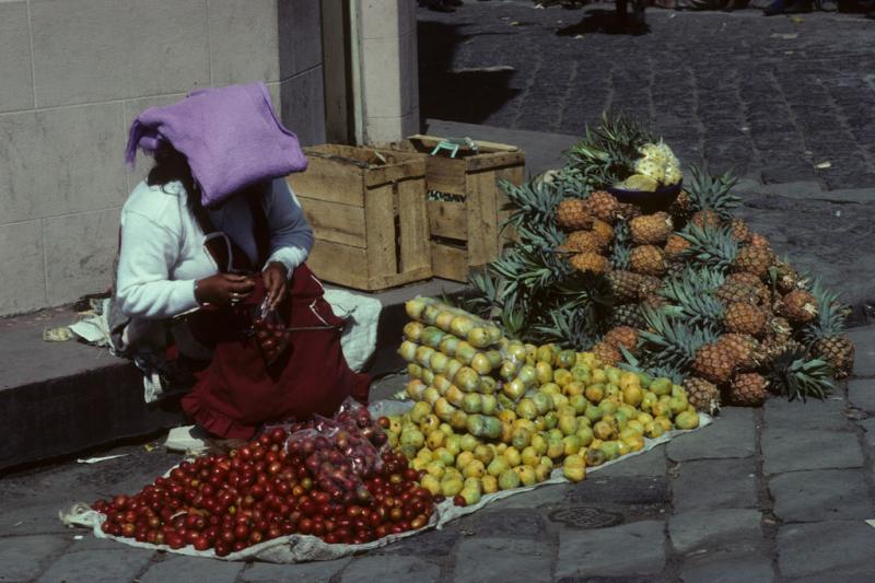 <img typeof="foaf:Image" src="http://statelibrarync.org/learnnc/sites/default/files/images/ecuador_019.jpg" width="1024" height="682" alt="Seated woman selling fruit" title="Seated woman selling fruit" /> <img typeof="foaf:Image" src="http://statelibrarync.org/learnnc/sites/default/files/images/ecuador_019.jpg" width="1024" height="682" alt="Seated woman selling fruit" title="Seated woman selling fruit" />