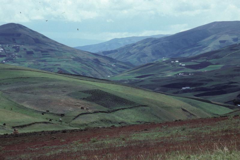 <img typeof="foaf:Image" src="http://statelibrarync.org/learnnc/sites/default/files/images/ecuador_033.jpg" width="1024" height="682" alt="Panorama of rolling hills and agricultural fields" title="Panorama of rolling hills and agricultural fields" /> <img typeof="foaf:Image" src="http://statelibrarync.org/learnnc/sites/default/files/images/ecuador_033.jpg" width="1024" height="682" alt="Panorama of rolling hills and agricultural fields" title="Panorama of rolling hills and agricultural fields" />