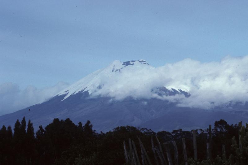 <img typeof="foaf:Image" src="http://statelibrarync.org/learnnc/sites/default/files/images/ecuador_035.jpg" width="1024" height="682" /> <img typeof="foaf:Image" src="http://statelibrarync.org/learnnc/sites/default/files/images/ecuador_035.jpg" width="1024" height="682" />