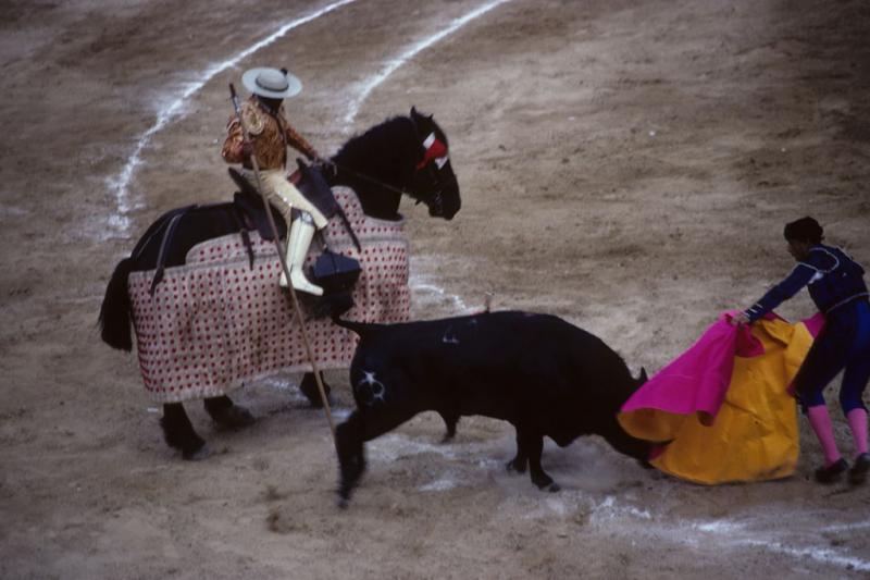 <img typeof="foaf:Image" src="http://statelibrarync.org/learnnc/sites/default/files/images/ecuador_059.jpg" width="1024" height="682" alt="Bullfight in Cartagena, Colombia" title="Bullfight in Cartagena, Colombia" /> <img typeof="foaf:Image" src="http://statelibrarync.org/learnnc/sites/default/files/images/ecuador_059.jpg" width="1024" height="682" alt="Bullfight in Cartagena, Colombia" title="Bullfight in Cartagena, Colombia" />
