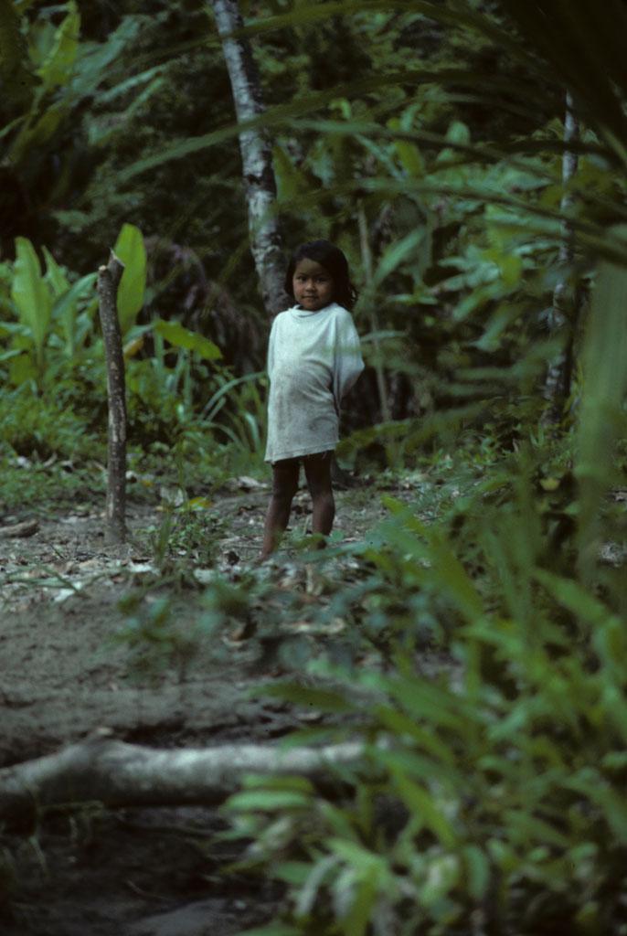 <img typeof="foaf:Image" src="http://statelibrarync.org/learnnc/sites/default/files/images/ecuador_187.jpg" width="686" height="1024" /> <img typeof="foaf:Image" src="http://statelibrarync.org/learnnc/sites/default/files/images/ecuador_187.jpg" width="686" height="1024" />