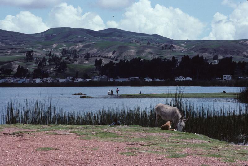 <img typeof="foaf:Image" src="http://statelibrarync.org/learnnc/sites/default/files/images/ecuador_201.jpg" width="1024" height="686" /> <img typeof="foaf:Image" src="http://statelibrarync.org/learnnc/sites/default/files/images/ecuador_201.jpg" width="1024" height="686" />
