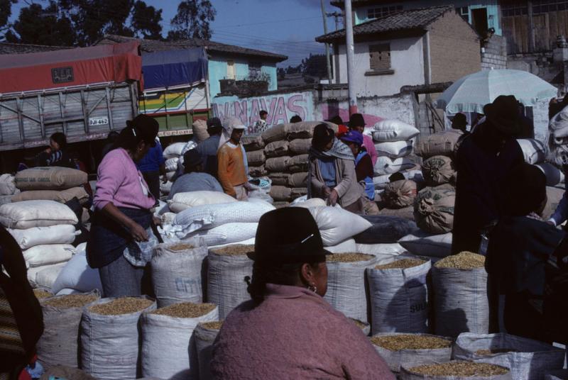 <img typeof="foaf:Image" src="http://statelibrarync.org/learnnc/sites/default/files/images/ecuador_220.jpg" width="1024" height="686" /> <img typeof="foaf:Image" src="http://statelibrarync.org/learnnc/sites/default/files/images/ecuador_220.jpg" width="1024" height="686" />