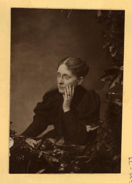 <img typeof="foaf:Image" src="http://statelibrarync.org/learnnc/sites/default/files/images/frances_willard.jpg" width="461" height="640" alt="Frances Willard" title="Frances Willard" />