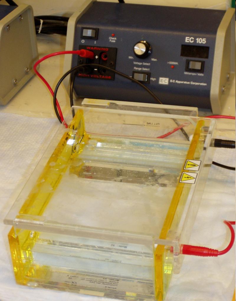 <img typeof="foaf:Image" src="http://statelibrarync.org/learnnc/sites/default/files/images/gel_electrophoresis_apparatus.jpg" width="1476" height="1886" alt="Gel electrophoresis box" title="Gel electrophoresis box" /> <img typeof="foaf:Image" src="http://statelibrarync.org/learnnc/sites/default/files/images/gel_electrophoresis_apparatus.jpg" width="1476" height="1886" alt="Gel electrophoresis box" title="Gel electrophoresis box" />