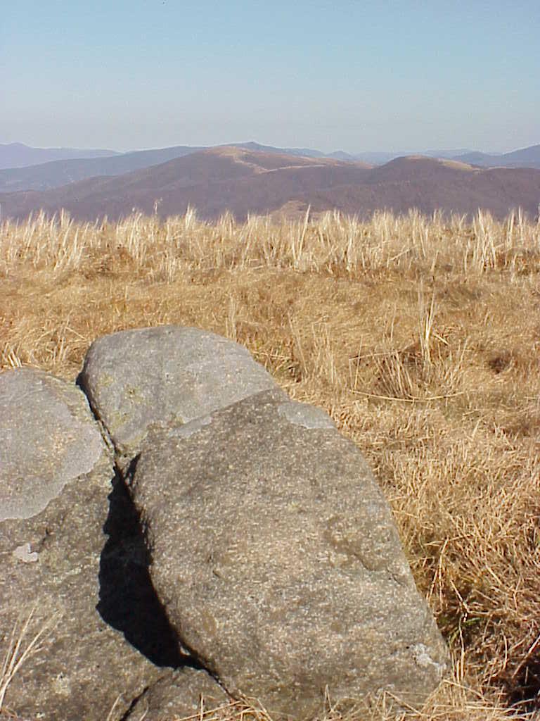 <img typeof="foaf:Image" src="http://statelibrarync.org/learnnc/sites/default/files/images/grassy_bald_round_bald.jpg" width="768" height="1024" alt="Grassy bald on Round Bald" title="Grassy bald on Round Bald" /> <img typeof="foaf:Image" src="http://statelibrarync.org/learnnc/sites/default/files/images/grassy_bald_round_bald.jpg" width="768" height="1024" alt="Grassy bald on Round Bald" title="Grassy bald on Round Bald" />