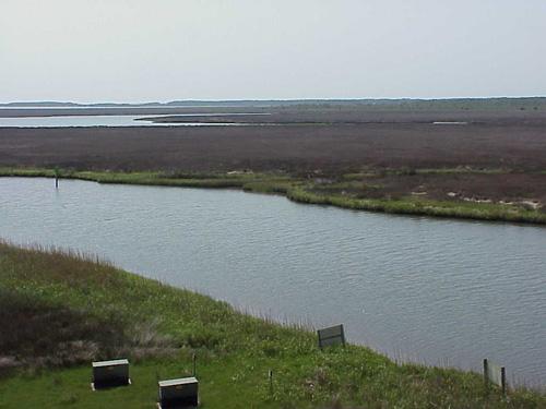 <img typeof="foaf:Image" src="http://statelibrarync.org/learnnc/sites/default/files/images/marsh_and_land.jpg" width="500" height="375" alt="Land and marsh-Carteret County" title="Land and marsh-Carteret County" /> <img typeof="foaf:Image" src="http://statelibrarync.org/learnnc/sites/default/files/images/marsh_and_land.jpg" width="500" height="375" alt="Land and marsh-Carteret County" title="Land and marsh-Carteret County" />