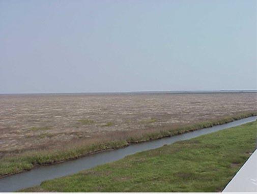 <img typeof="foaf:Image" src="http://statelibrarync.org/learnnc/sites/default/files/images/marsh_and_land_more.jpg" width="505" height="382" alt="More land and marsh-Carteret County" title="More land and marsh-Carteret County" /> <img typeof="foaf:Image" src="http://statelibrarync.org/learnnc/sites/default/files/images/marsh_and_land_more.jpg" width="505" height="382" alt="More land and marsh-Carteret County" title="More land and marsh-Carteret County" />
