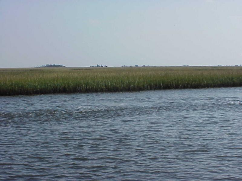 <img typeof="foaf:Image" src="http://statelibrarync.org/learnnc/sites/default/files/images/masonboro_marsh.jpg" width="1024" height="768" alt="Marshes of Masonboro" title="Marshes of Masonboro" /> <img typeof="foaf:Image" src="http://statelibrarync.org/learnnc/sites/default/files/images/masonboro_marsh.jpg" width="1024" height="768" alt="Marshes of Masonboro" title="Marshes of Masonboro" />