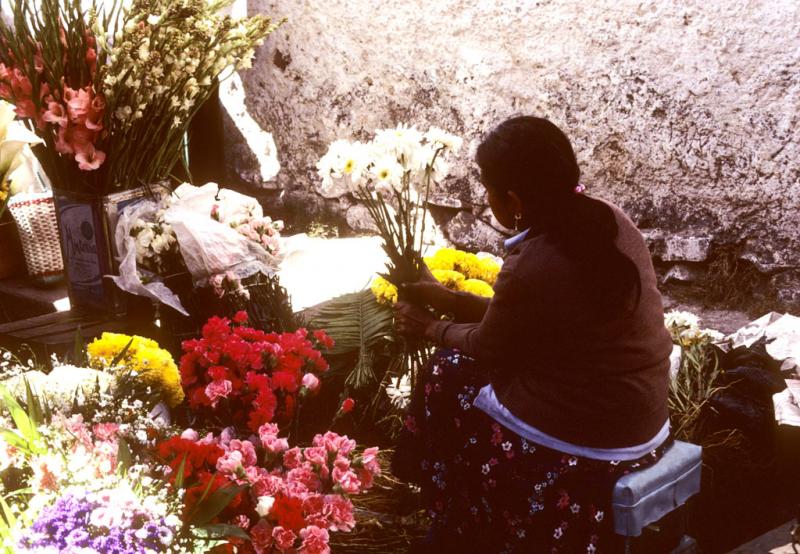 <img typeof="foaf:Image" src="http://statelibrarync.org/learnnc/sites/default/files/images/mexico_044.jpg" width="1024" height="709" /> <img typeof="foaf:Image" src="http://statelibrarync.org/learnnc/sites/default/files/images/mexico_044.jpg" width="1024" height="709" />