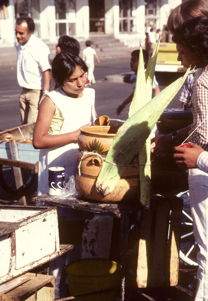 <img typeof="foaf:Image" src="http://statelibrarync.org/learnnc/sites/default/files/images/mexico_046.jpg" width="709" height="1024" /> <img typeof="foaf:Image" src="http://statelibrarync.org/learnnc/sites/default/files/images/mexico_046.jpg" width="709" height="1024" />