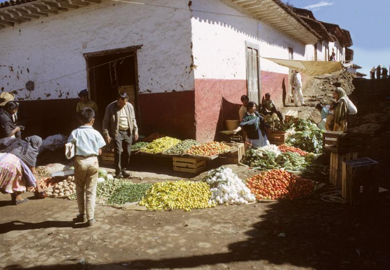 <img typeof="foaf:Image" src="http://statelibrarync.org/learnnc/sites/default/files/images/mexico_080.jpg" width="1024" height="709" /> <img typeof="foaf:Image" src="http://statelibrarync.org/learnnc/sites/default/files/images/mexico_080.jpg" width="1024" height="709" />