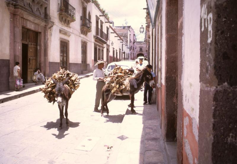 <img typeof="foaf:Image" src="http://statelibrarync.org/learnnc/sites/default/files/images/mexico_088.jpg" width="1024" height="709" /> <img typeof="foaf:Image" src="http://statelibrarync.org/learnnc/sites/default/files/images/mexico_088.jpg" width="1024" height="709" />