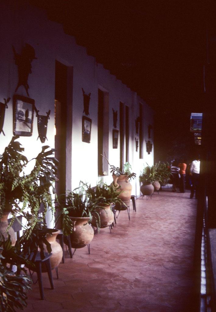 <img typeof="foaf:Image" src="http://statelibrarync.org/learnnc/sites/default/files/images/mexico_101.jpg" width="709" height="1024" /> <img typeof="foaf:Image" src="http://statelibrarync.org/learnnc/sites/default/files/images/mexico_101.jpg" width="709" height="1024" />