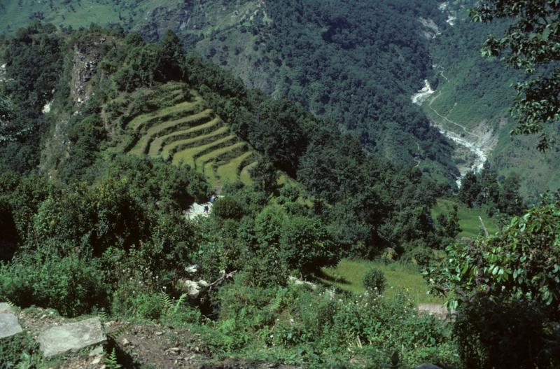 <img typeof="foaf:Image" src="http://statelibrarync.org/learnnc/sites/default/files/images/nepal_061.jpg" width="1024" height="675" alt="Nepal mountain landscape" title="Nepal mountain landscape" /> <img typeof="foaf:Image" src="http://statelibrarync.org/learnnc/sites/default/files/images/nepal_061.jpg" width="1024" height="675" alt="Nepal mountain landscape" title="Nepal mountain landscape" />