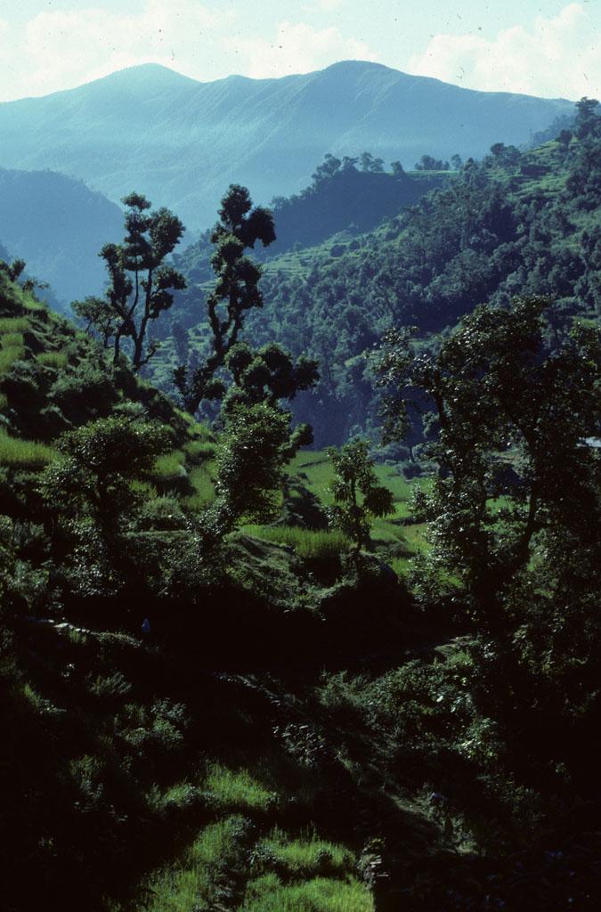 <img typeof="foaf:Image" src="http://statelibrarync.org/learnnc/sites/default/files/images/nepal_068.jpg" width="675" height="1024" /> <img typeof="foaf:Image" src="http://statelibrarync.org/learnnc/sites/default/files/images/nepal_068.jpg" width="675" height="1024" />