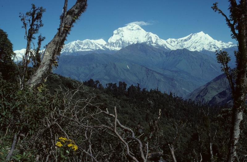 <img typeof="foaf:Image" src="http://statelibrarync.org/learnnc/sites/default/files/images/nepal_081.jpg" width="1024" height="675" /> <img typeof="foaf:Image" src="http://statelibrarync.org/learnnc/sites/default/files/images/nepal_081.jpg" width="1024" height="675" />