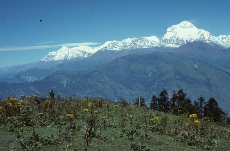 <img typeof="foaf:Image" src="http://statelibrarync.org/learnnc/sites/default/files/images/nepal_083.jpg" width="1024" height="675" /> <img typeof="foaf:Image" src="http://statelibrarync.org/learnnc/sites/default/files/images/nepal_083.jpg" width="1024" height="675" />