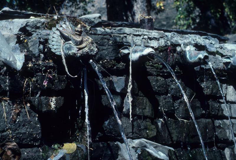 <img typeof="foaf:Image" src="http://statelibrarync.org/learnnc/sites/default/files/images/nepal_206.jpg" width="1024" height="694" alt="Close-up of water spouts at the temple in Muktinath, Nepal" title="Close-up of water spouts at the temple in Muktinath, Nepal" />