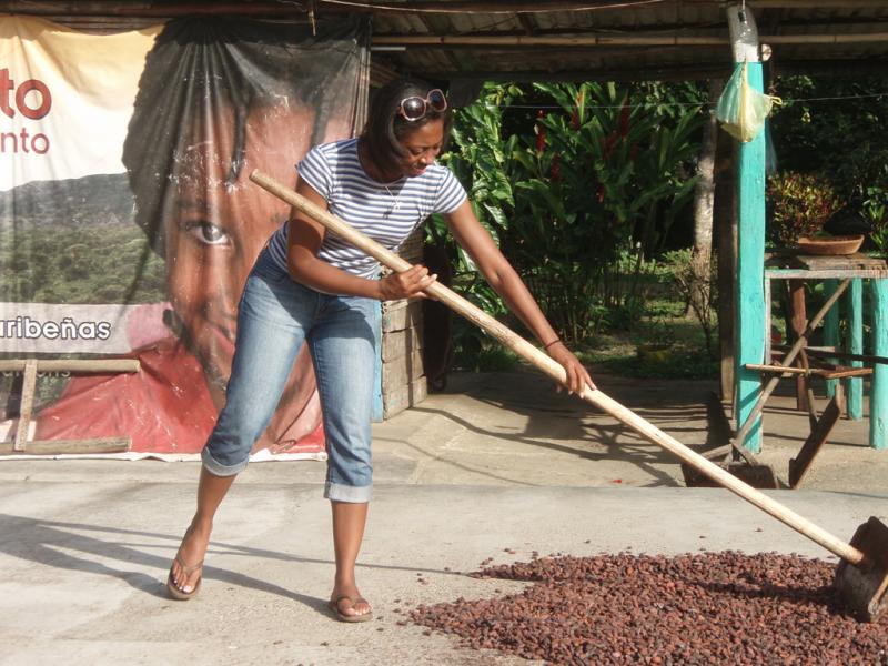 <img typeof="foaf:Image" src="http://statelibrarync.org/learnnc/sites/default/files/images/p7080618r.jpg" width="1024" height="768" alt="Flipping cacao seeds" title="Flipping cacao seeds" />