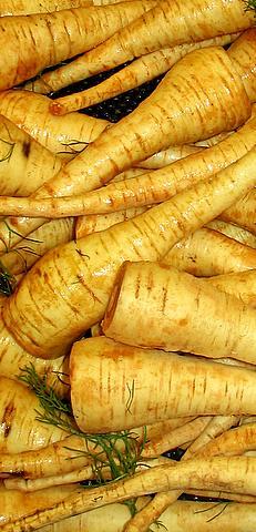 <img typeof="foaf:Image" src="http://statelibrarync.org/learnnc/sites/default/files/images/parsnips-1.jpg" width="231" height="480" alt="Parsnips" title="Parsnips" /> <img typeof="foaf:Image" src="http://statelibrarync.org/learnnc/sites/default/files/images/parsnips-1.jpg" width="231" height="480" alt="Parsnips" title="Parsnips" />