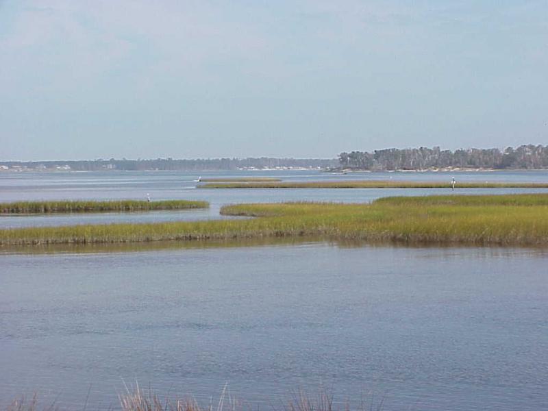 <img typeof="foaf:Image" src="http://statelibrarync.org/learnnc/sites/default/files/images/salt_marsh_hi_saline.jpg" width="1024" height="768" alt="Patches of salt marsh in the high salinity section of the estuary" /> <img typeof="foaf:Image" src="http://statelibrarync.org/learnnc/sites/default/files/images/salt_marsh_hi_saline.jpg" width="1024" height="768" alt="Patches of salt marsh in the high salinity section of the estuary" />