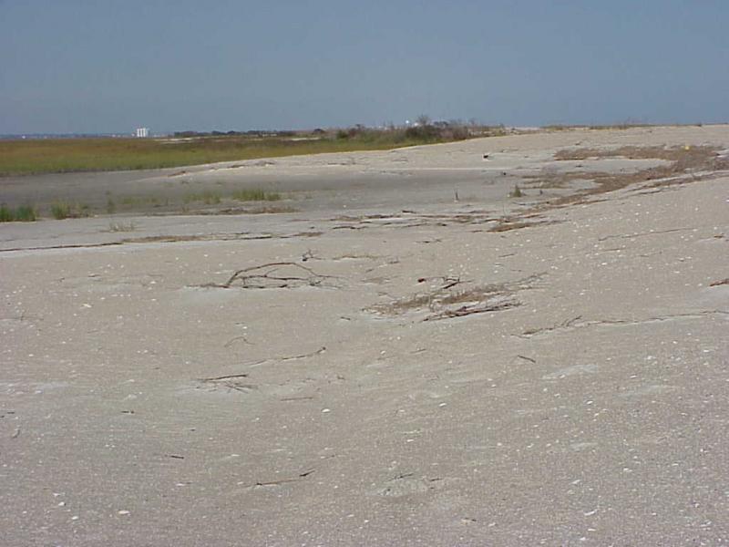 <img typeof="foaf:Image" src="http://statelibrarync.org/learnnc/sites/default/files/images/sand_lobes_0.jpg" width="1024" height="768" alt="Mansonboro Island after Hurricane" title="Mansonboro Island after Hurricane" />