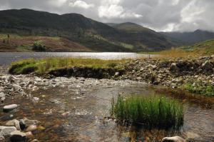 <img typeof="foaf:Image" src="http://statelibrarync.org/learnnc/sites/default/files/images/stream_pools.jpg" width="300" height="199" alt="Pools in Glen Cannich" title="Pools in Glen Cannich" /> <img typeof="foaf:Image" src="http://statelibrarync.org/learnnc/sites/default/files/images/stream_pools.jpg" width="300" height="199" alt="Pools in Glen Cannich" title="Pools in Glen Cannich" />