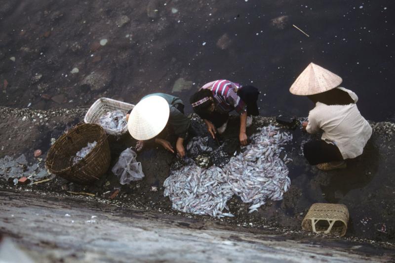<img typeof="foaf:Image" src="http://statelibrarync.org/learnnc/sites/default/files/images/vietnam_027.jpg" width="1024" height="683" alt="Overhead view of three women processing fish catch at Cat Ba harbor" title="Overhead view of three women processing fish catch at Cat Ba harbor" /> <img typeof="foaf:Image" src="http://statelibrarync.org/learnnc/sites/default/files/images/vietnam_027.jpg" width="1024" height="683" alt="Overhead view of three women processing fish catch at Cat Ba harbor" title="Overhead view of three women processing fish catch at Cat Ba harbor" />