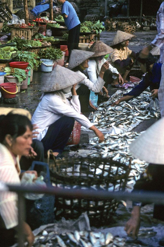 <img typeof="foaf:Image" src="http://statelibrarync.org/learnnc/sites/default/files/images/vietnam_048.jpg" width="683" height="1024" alt="Cat Ba outdoor market" title="Cat Ba outdoor market" /> <img typeof="foaf:Image" src="http://statelibrarync.org/learnnc/sites/default/files/images/vietnam_048.jpg" width="683" height="1024" alt="Cat Ba outdoor market" title="Cat Ba outdoor market" />