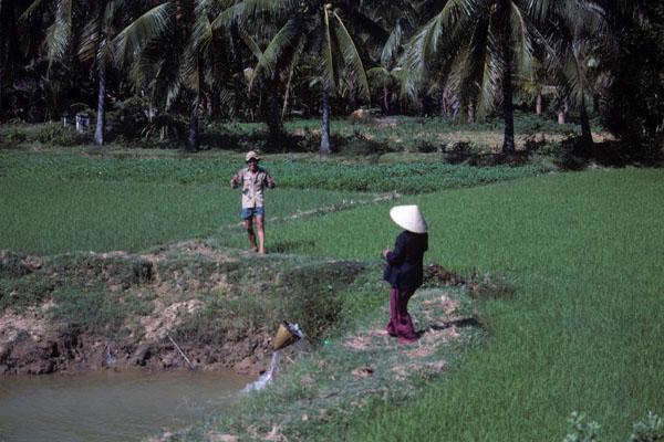 <img typeof="foaf:Image" src="http://statelibrarync.org/learnnc/sites/default/files/images/vietnam_068.jpg" width="600" height="400" /> <img typeof="foaf:Image" src="http://statelibrarync.org/learnnc/sites/default/files/images/vietnam_068.jpg" width="600" height="400" />