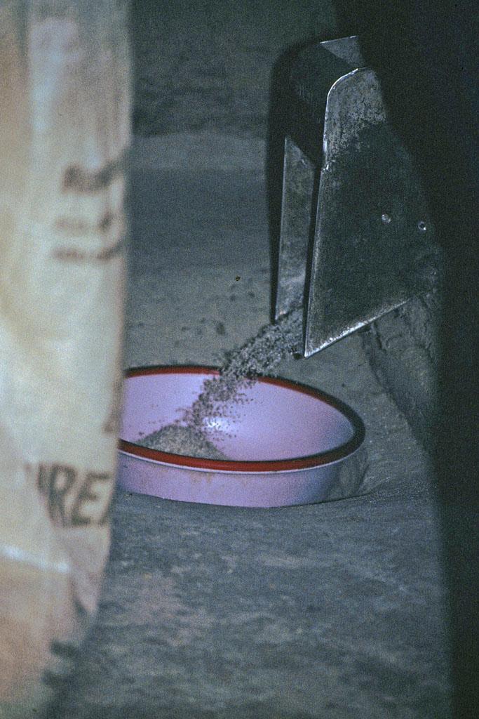 <img typeof="foaf:Image" src="http://statelibrarync.org/learnnc/sites/default/files/images/vietnam_075.jpg" width="683" height="1024" alt="Threshing machine ejects rice into basin at mill near Mai Chau" title="Threshing machine ejects rice into basin at mill near Mai Chau" />