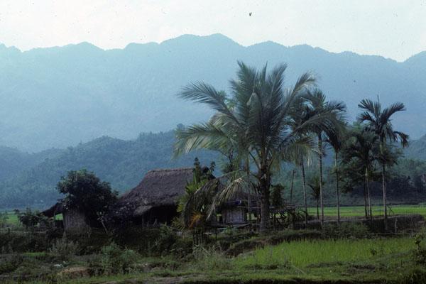 <img typeof="foaf:Image" src="http://statelibrarync.org/learnnc/sites/default/files/images/vietnam_131.jpg" width="600" height="400" /> <img typeof="foaf:Image" src="http://statelibrarync.org/learnnc/sites/default/files/images/vietnam_131.jpg" width="600" height="400" />