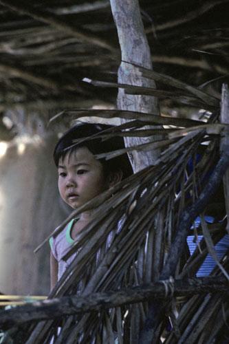<img typeof="foaf:Image" src="http://statelibrarync.org/learnnc/sites/default/files/images/vietnam_136.jpg" width="333" height="500" /> <img typeof="foaf:Image" src="http://statelibrarync.org/learnnc/sites/default/files/images/vietnam_136.jpg" width="333" height="500" />