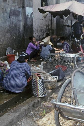 <img typeof="foaf:Image" src="http://statelibrarync.org/learnnc/sites/default/files/images/vietnam_152.jpg" width="333" height="500" /> <img typeof="foaf:Image" src="http://statelibrarync.org/learnnc/sites/default/files/images/vietnam_152.jpg" width="333" height="500" />