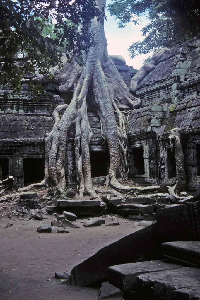 <img typeof="foaf:Image" src="http://statelibrarync.org/learnnc/sites/default/files/images/vietnam_230.jpg" width="683" height="1024" alt="Tangled roots of tree grow over building at Ta Prohm" title="Tangled roots of tree grow over building at Ta Prohm" />