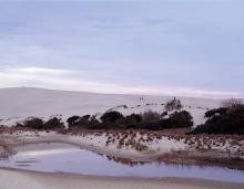 Jockey's Ridge State Park, North Carolina, the East's tallest natural sand dune located in Nags Head, North Carolina