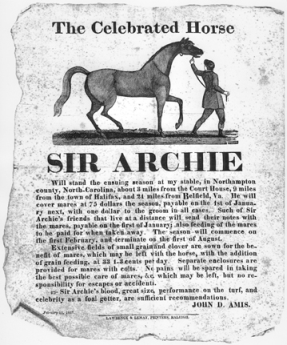 An 1827 broadside produced by John Amis, Sir Archie's owner, advertising the horse at stud. From the Cameron Family Papers, no. 133, Southern Historical Collection, Wilson Library, UNC-Chapel Hill.