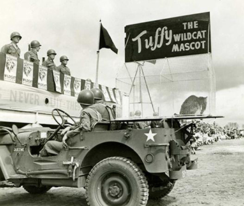 "Tuffy," the mascot of the 81st Division in World War II. Image from the North Carolina Museum of History.