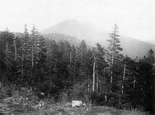 "View of the Black Mountains, Mitchell County, NC, c.1890's. From the H. H. Brimley Photo Collection, PhC.42, North Carolina State Archives., call #PhC42.Bx24. 